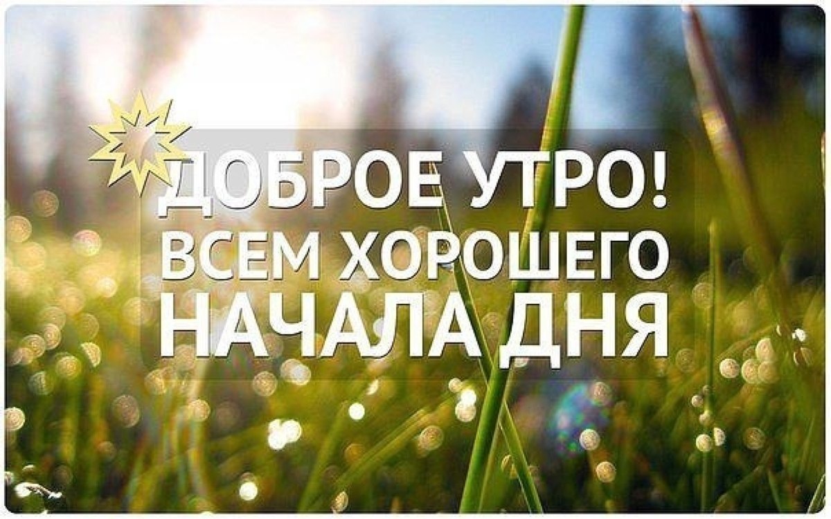 Для, картинки прикольные удачного дня доброе утро