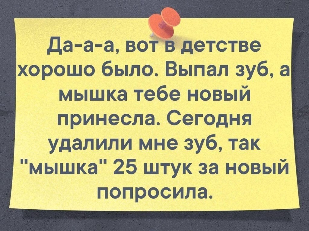 В такую погоду виски пледы и котов должны раздавать бесплатно картинки