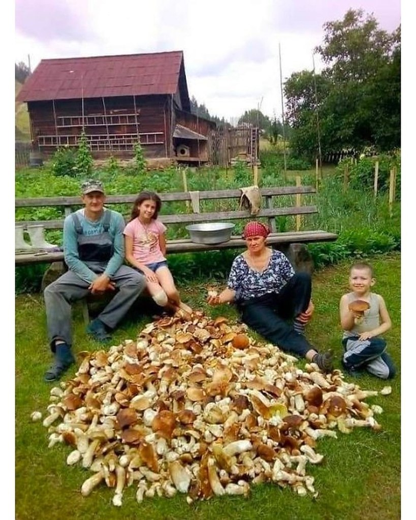 Семья за грибами