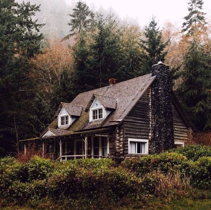 Лес живой дом. Американский домик в лесу. Красивый домик в лесу. Лесной дом. Тихий домик в лесу.