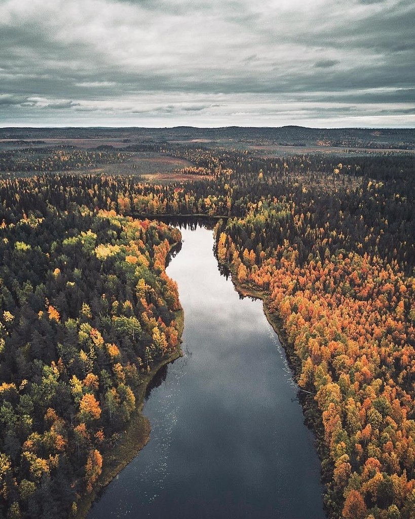 Финско русский фото. Лапландия Финляндия осенью. Осень в Финляндии. Финляндия природа осень. Леса Финляндии осенью.