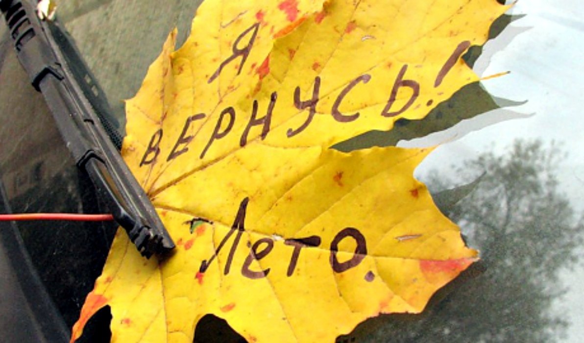 Картинки прикольные конец осени