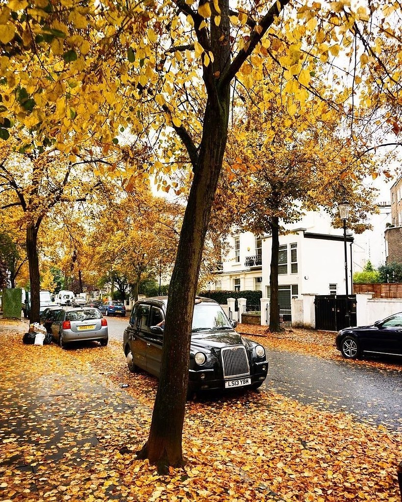 Fall in London