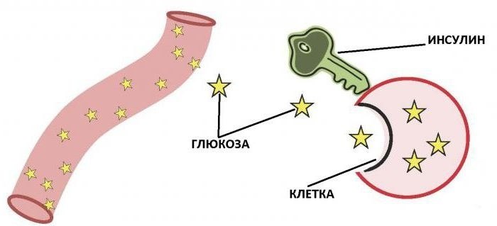 Инсулин картинки для презентации