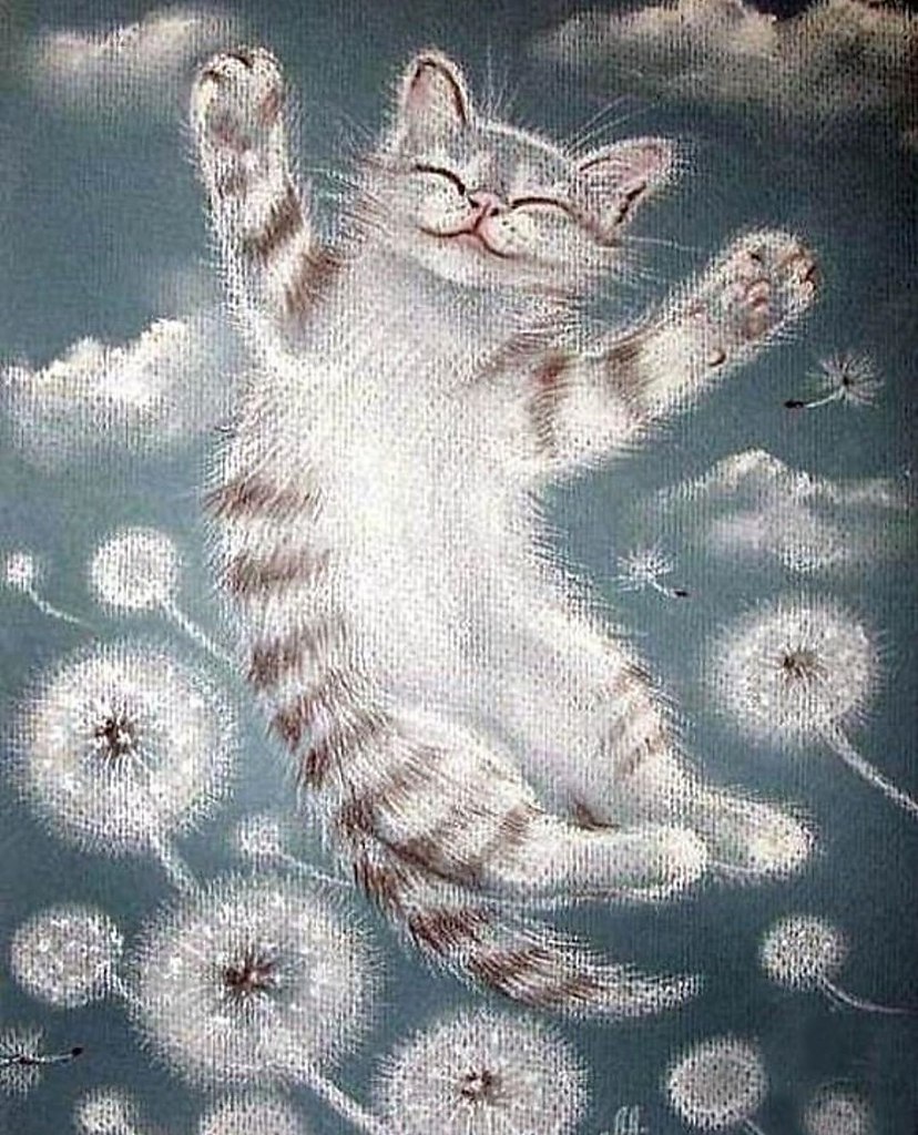 Радостный котик рисунок - 94 фото