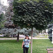 Ксения, 33 года, Дымер Ксения, 33 года, Дымер