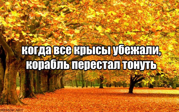Юрий Богданов - 1 ноября 2019 в 06:16