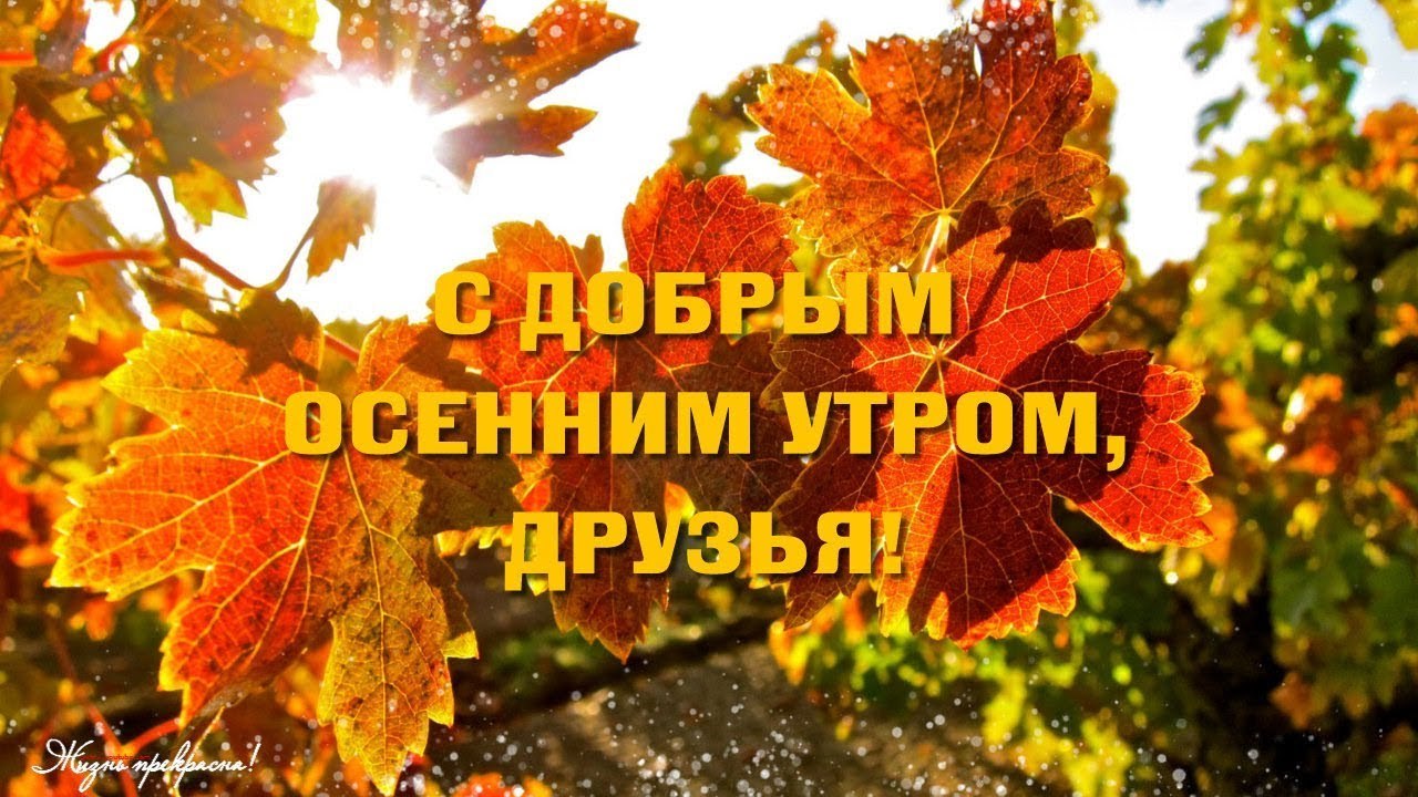 Осеннее Утро Понедельника Картинки