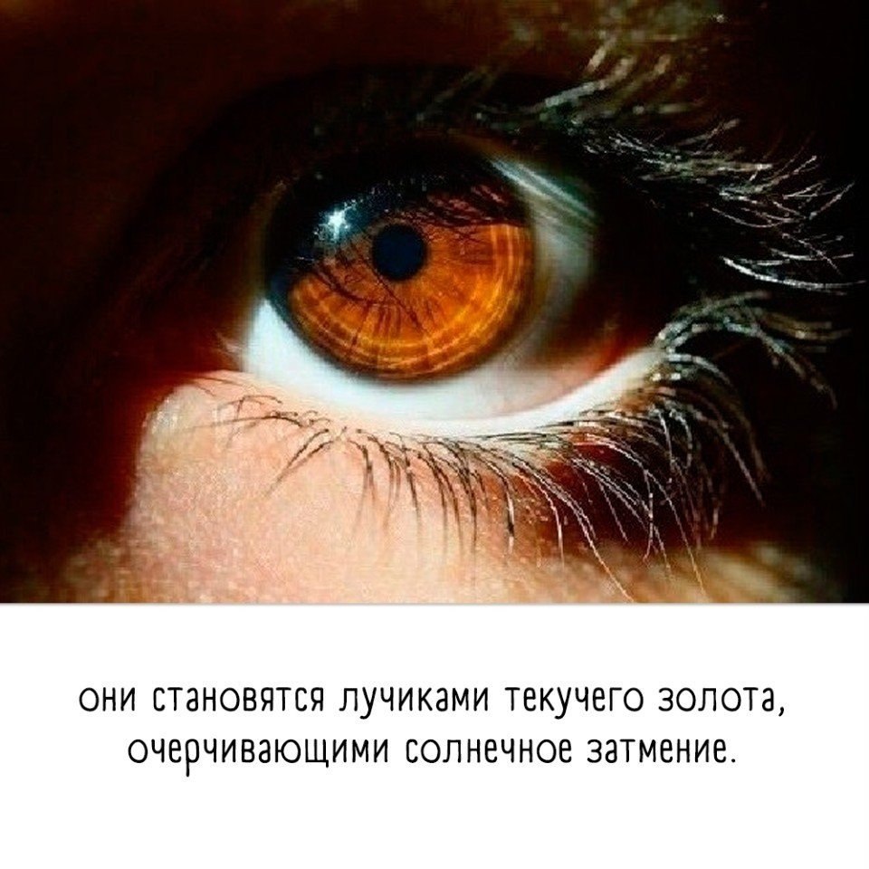 Карие глаза как описать. Карие глаза на солнце. Глаз и солнце. Карий глаз вблизи. Карие глаза на свету.