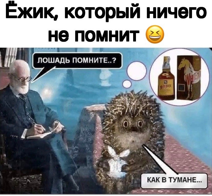 Ежик и фрейд картинка