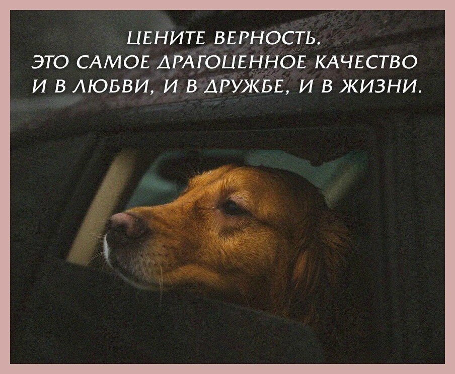 Картинки про верность