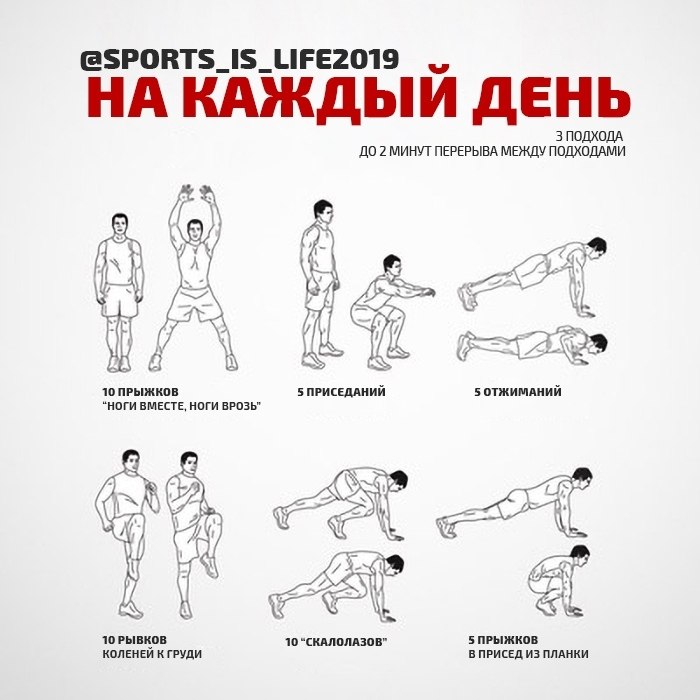 3 подхода. Микротренировки. Sports is Life 2019 тренировки. Упражнения спорта каталог. Книга все упражнения спорт.