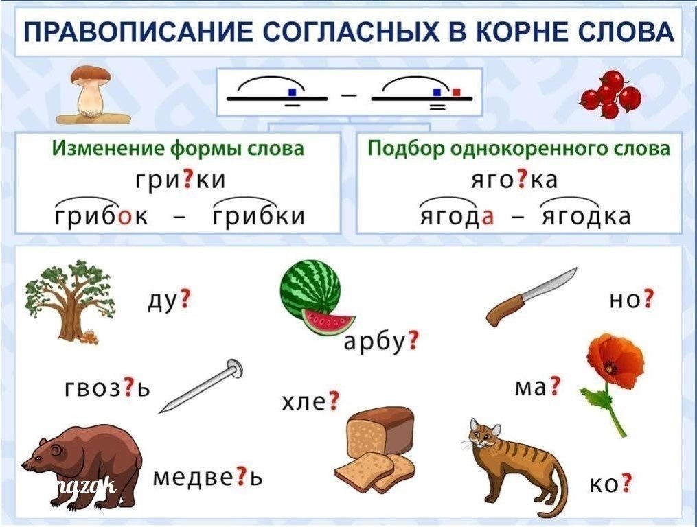 Правила русского языка в картинках для начальной школы