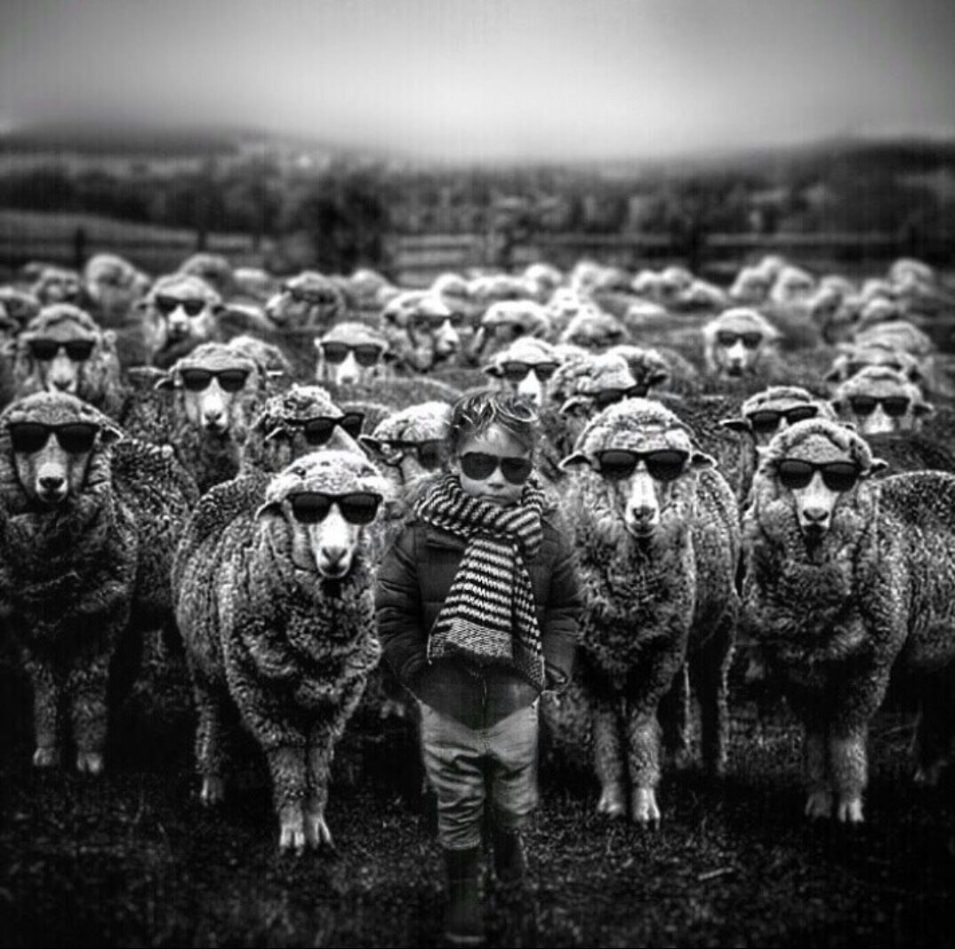 Маска овцы