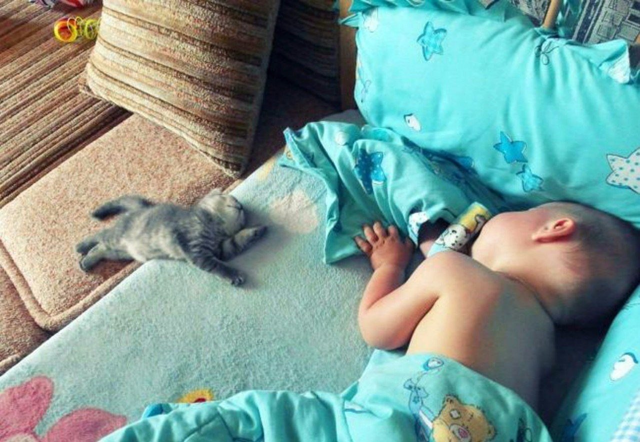 Кот с ребенком спит на теплом полу