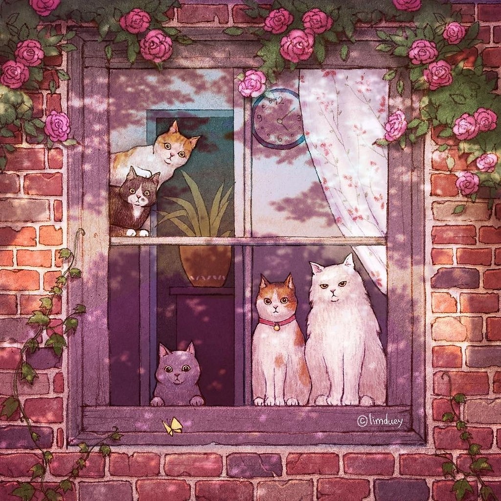 Кошка у окна арт