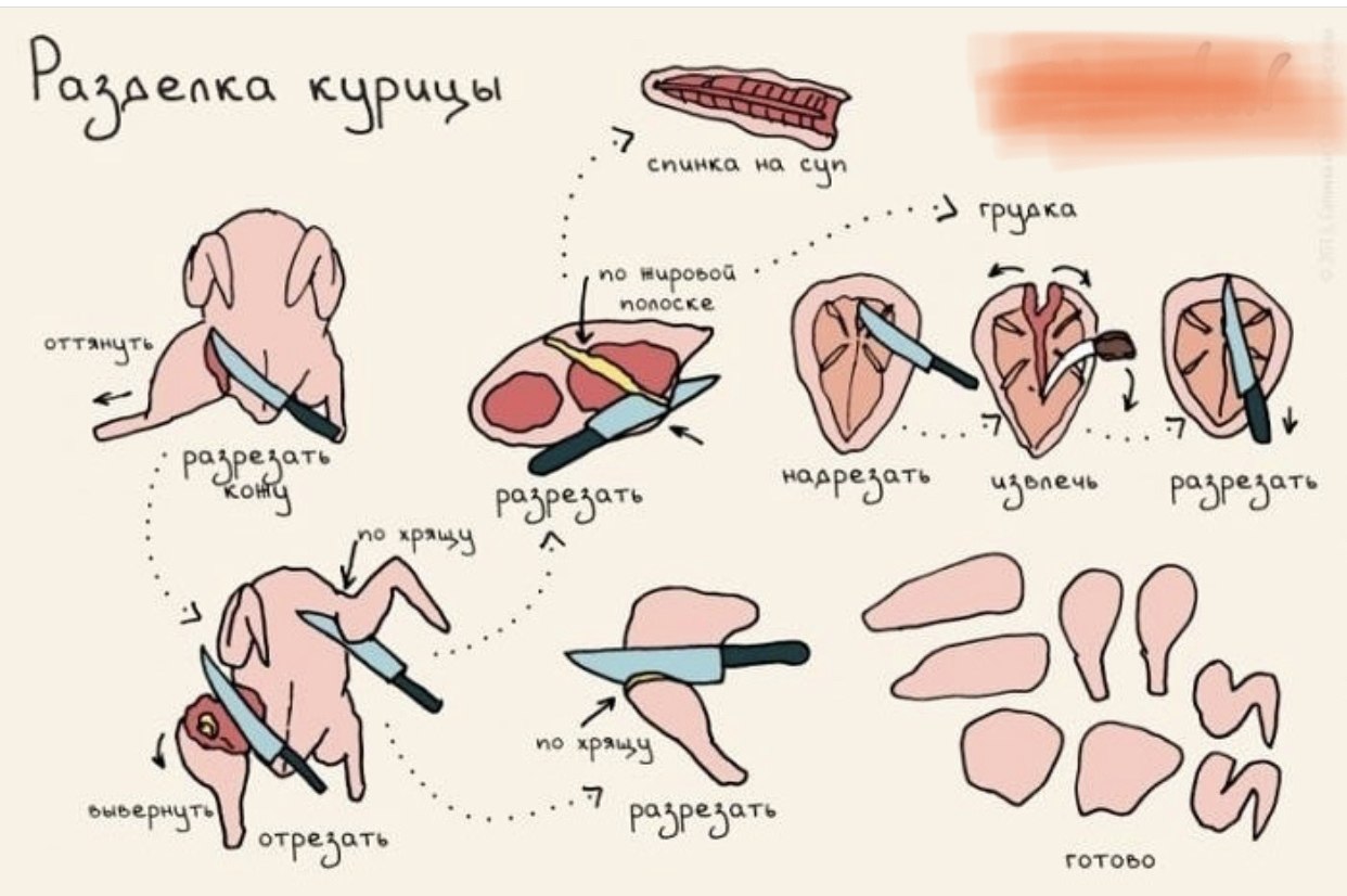 Как правильно разделать курицу для супа пошаговые фото