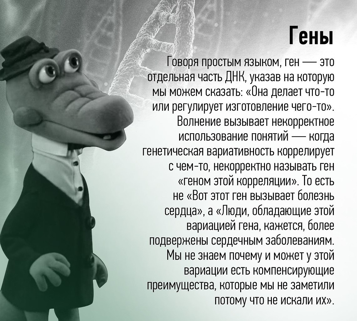 Как называть гену. Говорящий ген. Гена клички. Гена на анекдот. Кукла Гена разговаривает.