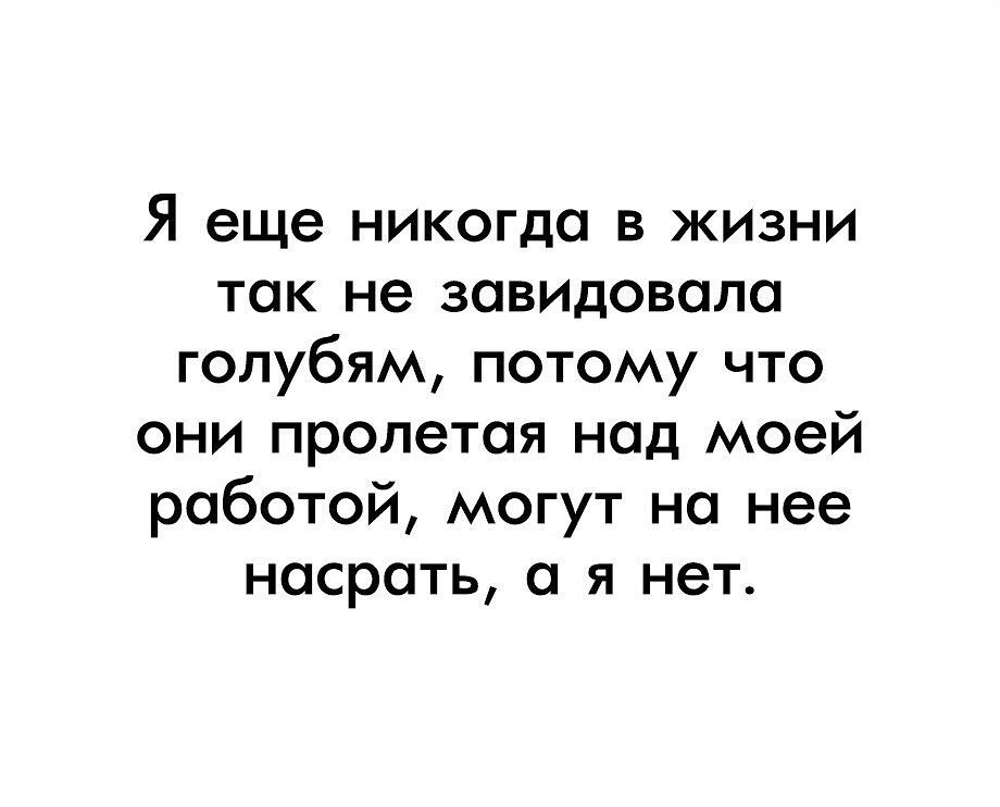 Хорошо быть голубем захотел в париж слетал картинки