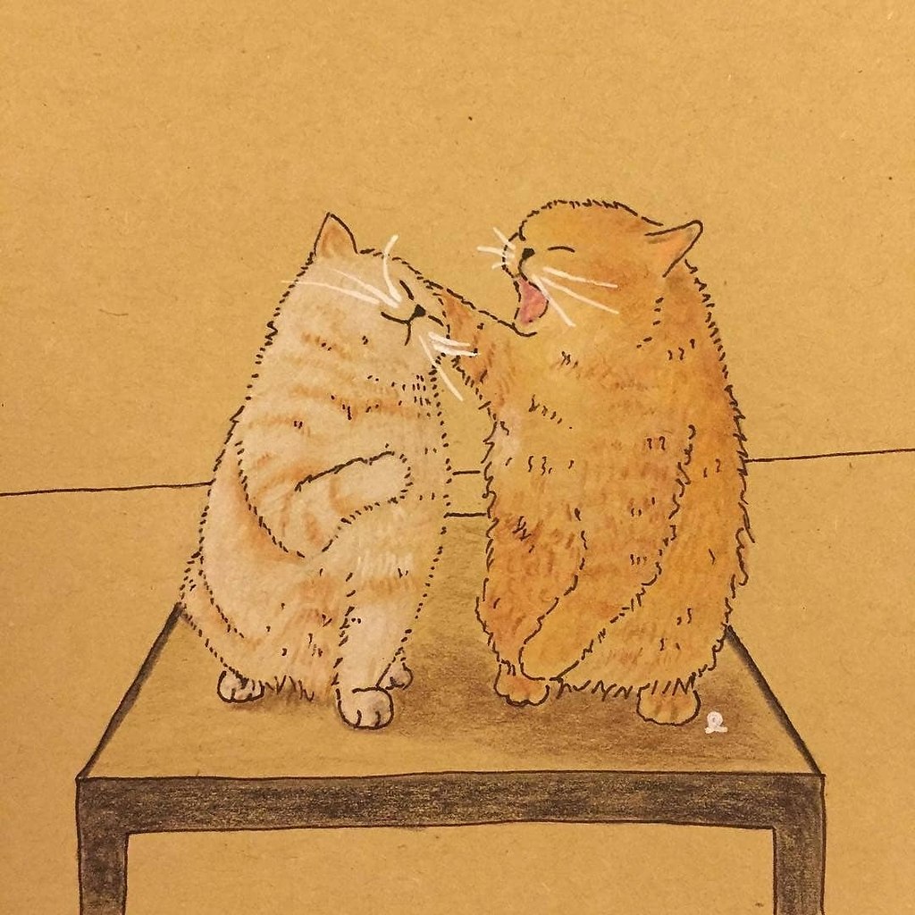 Рисунки любителей котов