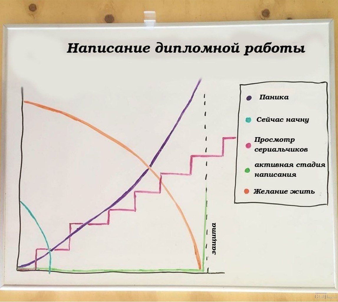 График формирования. График написания дипломной работы. График развития. График юмор. Написание диплома.