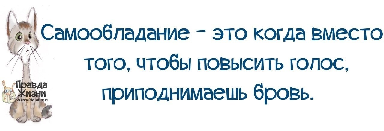 Самообладание это когда вместо того чтобы повысить голос поднимаешь бровь картинки