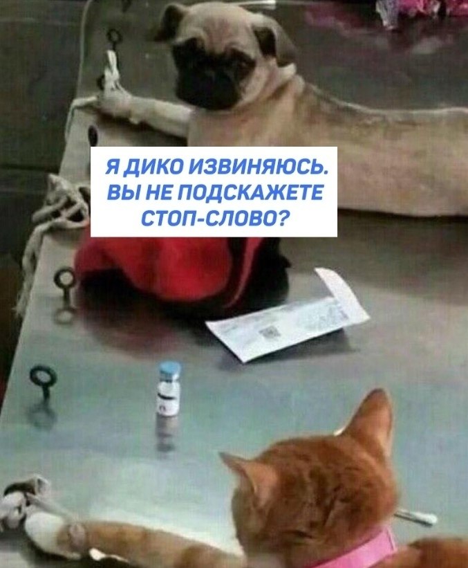 Дико извиняюсь картинки