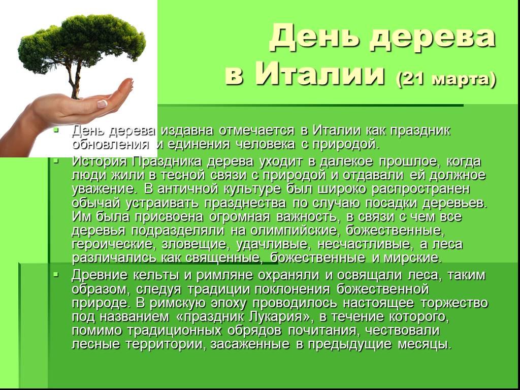 Какой день дерево. День дерева в Италии. День дерева в Италии праздник. Праздник день дерева. История праздника деревьев.