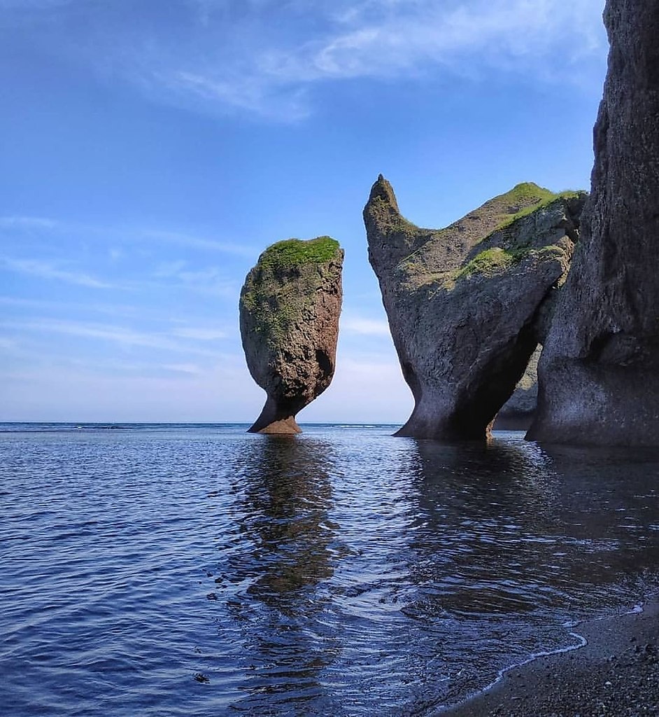 Бухта дубовая фото