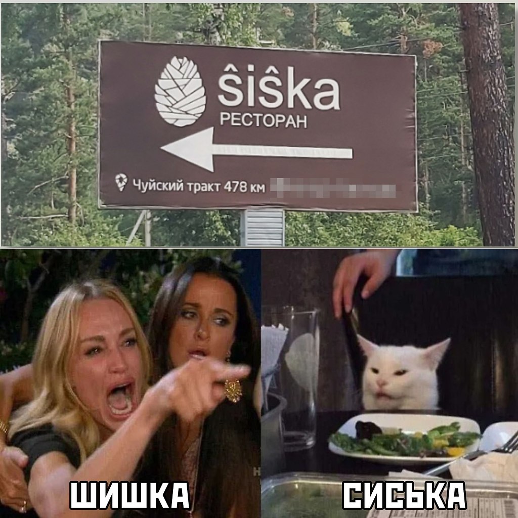 Шишка встала фото