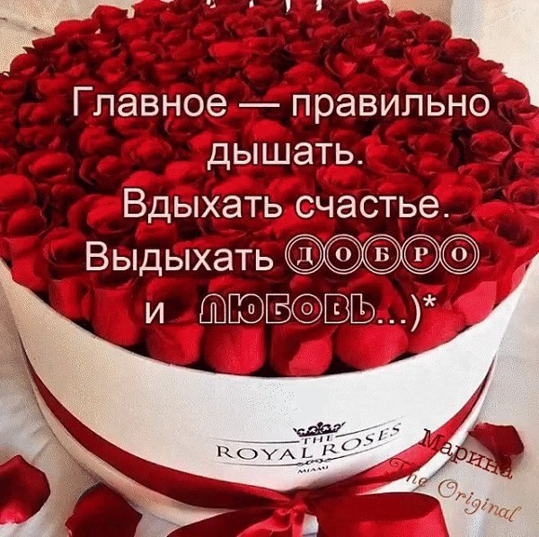 Главное правильно дышать вдыхать счастье выдыхать добро картинки