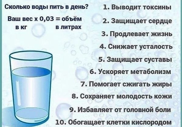 Сколько раз в день можно пить воду