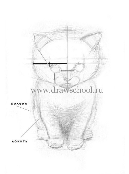 Рисунок кота своими руками