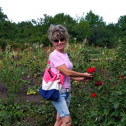 Наталья, 52, Луганск