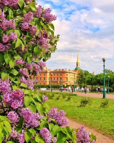 Марсово поле в санкт петербурге фото сирень