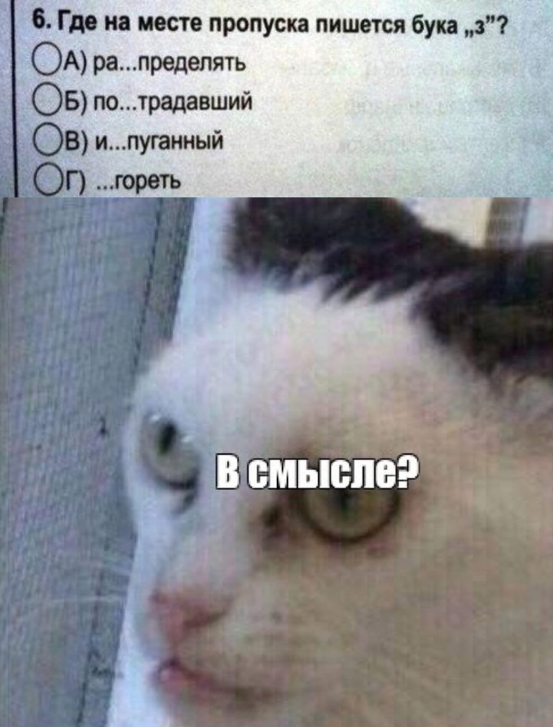 Всмысле Мем