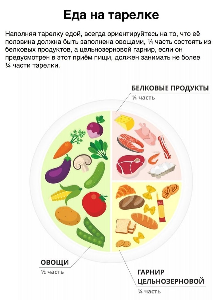 Правильная тарелка питания схема