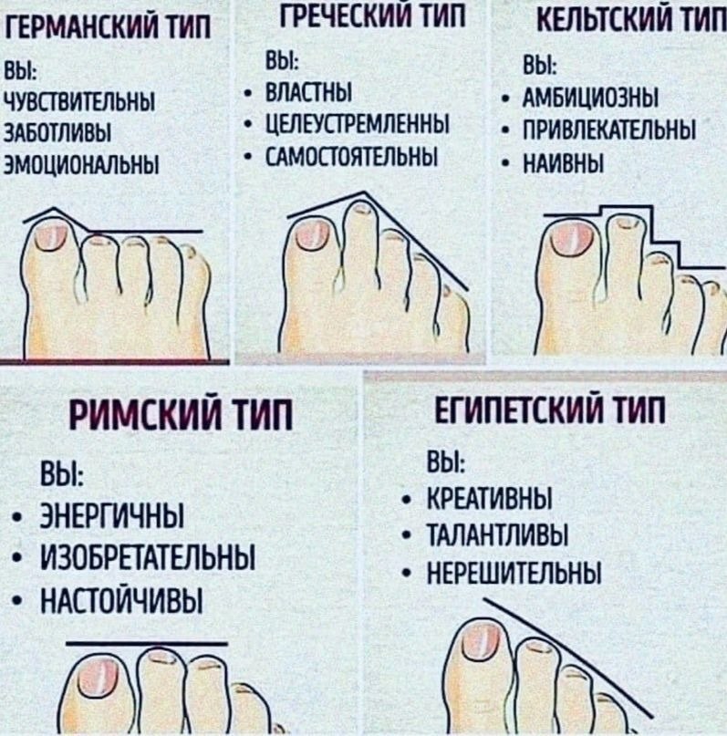 Как определить кому принадлежат волосы