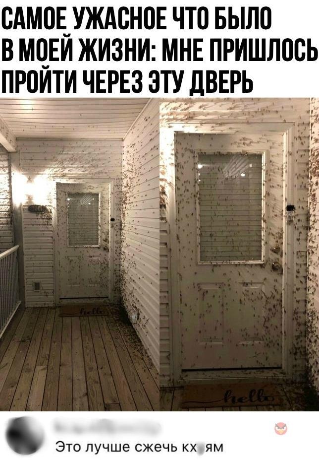 Ужасный день картинки