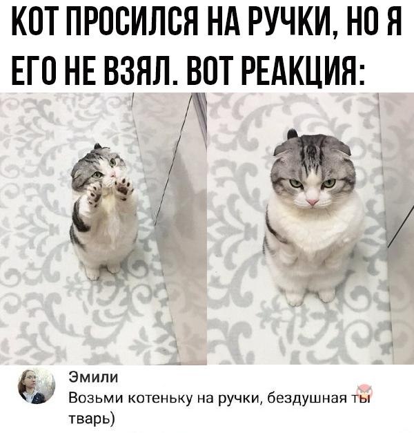 Картинки хочу домой и на ручки