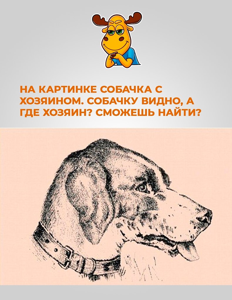 Где хозяин собаки на картинке