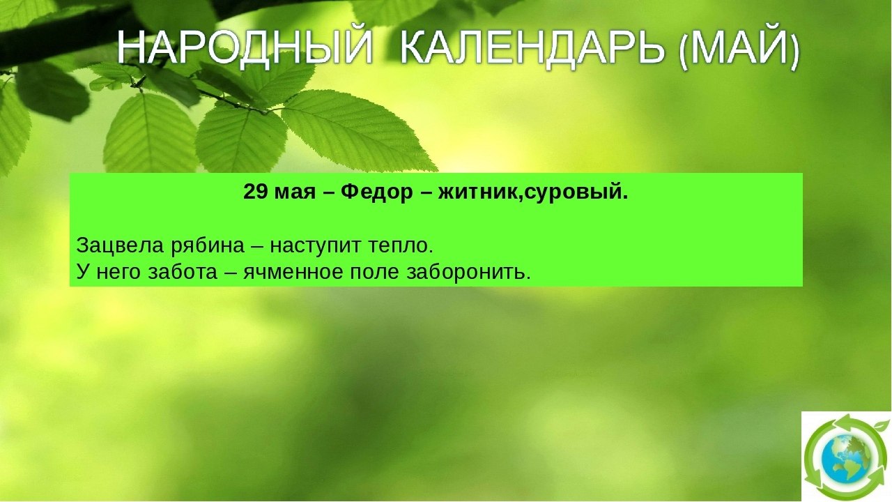 Пахом теплый пахом бокогрей картинки 28 мая