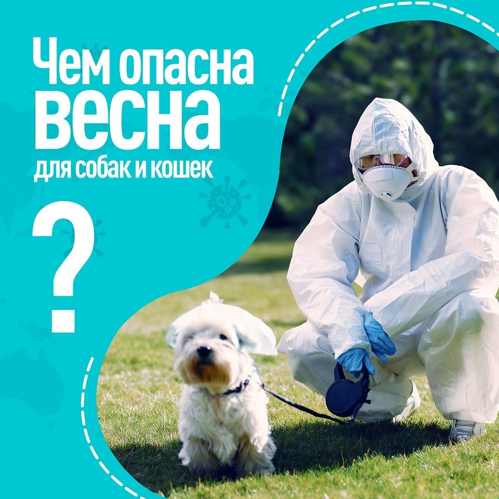 Температура