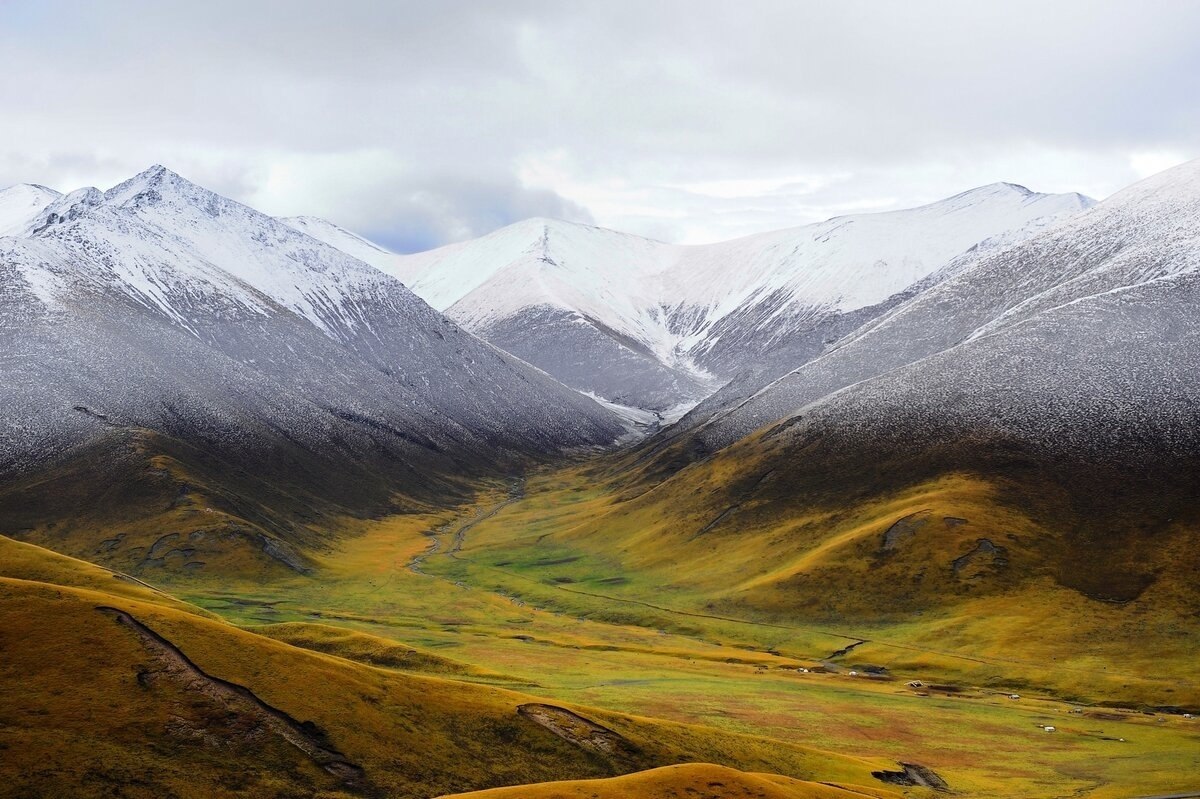 Цинхай-тибетское плато
