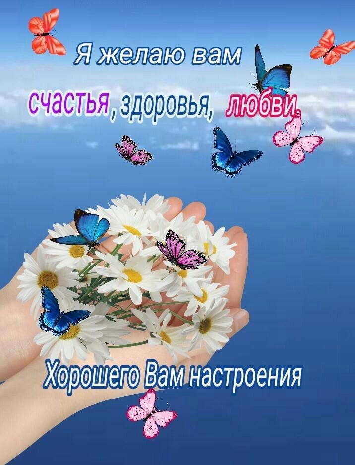 Благополучия в новом дне картинки