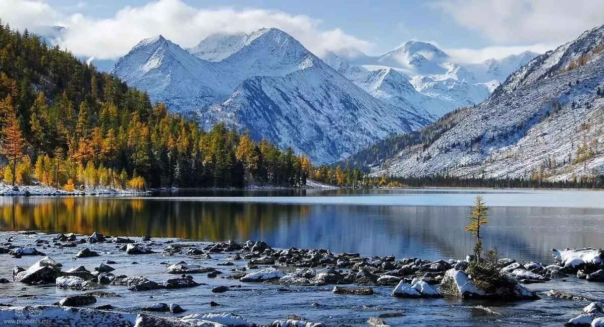 Катунский заповедник туристы