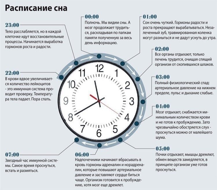 Рассчитать биоритмы в экселе