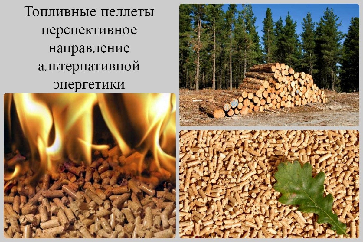 Лесоматериалы отходы древесины и их рациональное использование проект