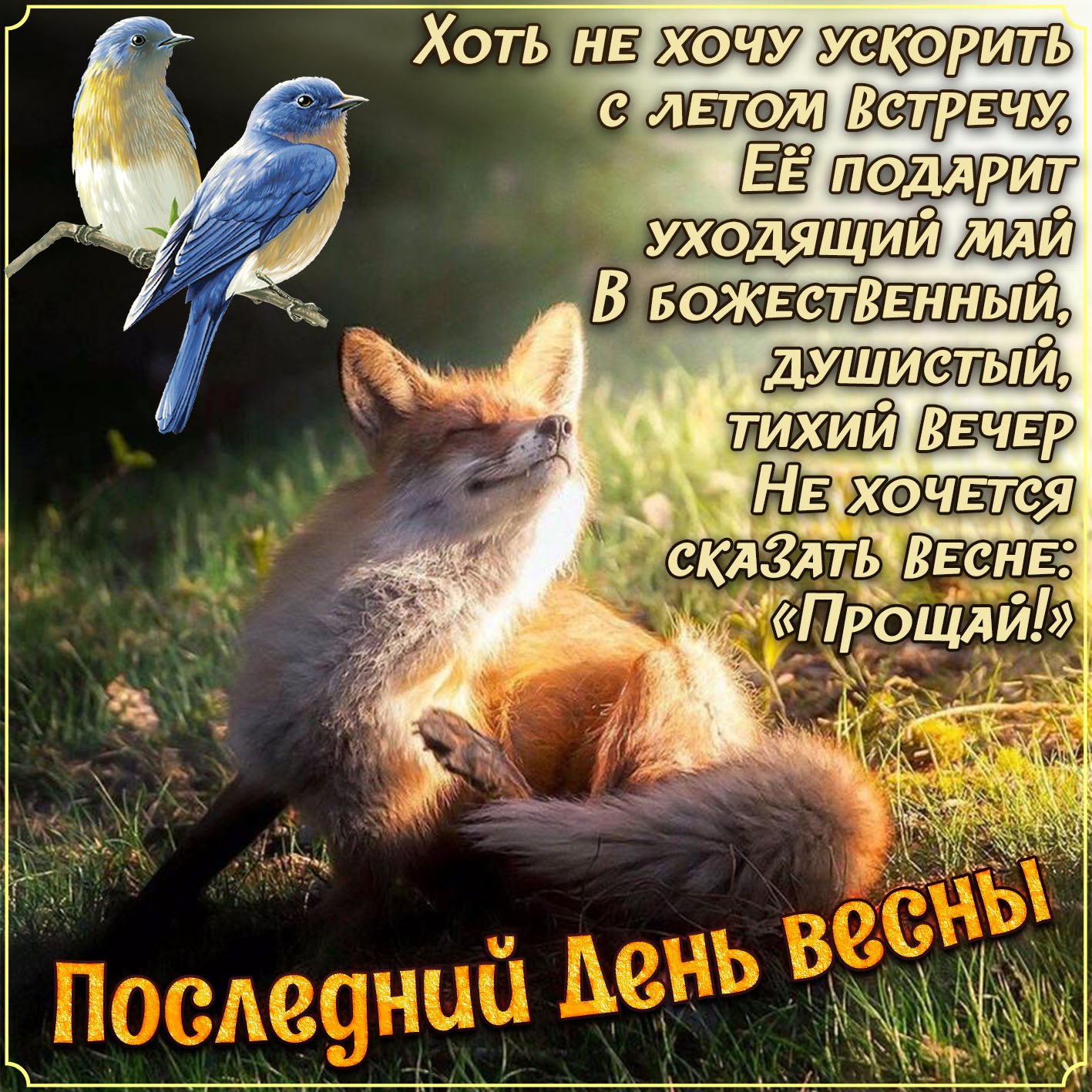 А что завтра а завтра лето картинки