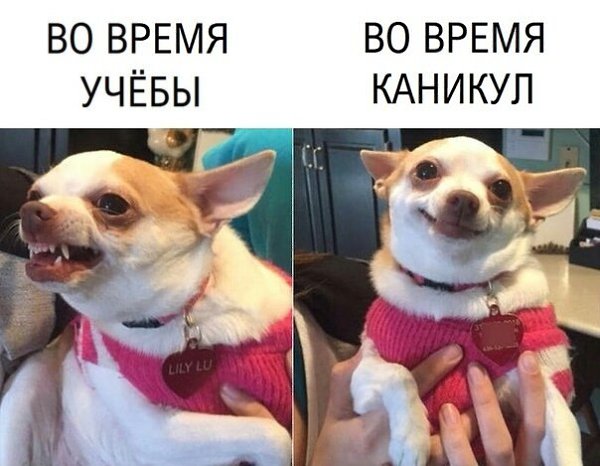 Популярные записи по теме «анекдоты»